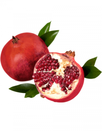 Copy of Untitled (37) (1)