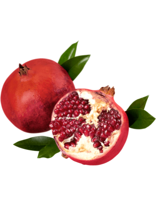 Copy of Untitled (37) (1)