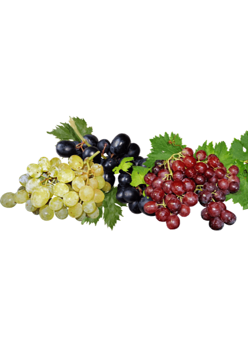 Copy of Untitled (38) (1)