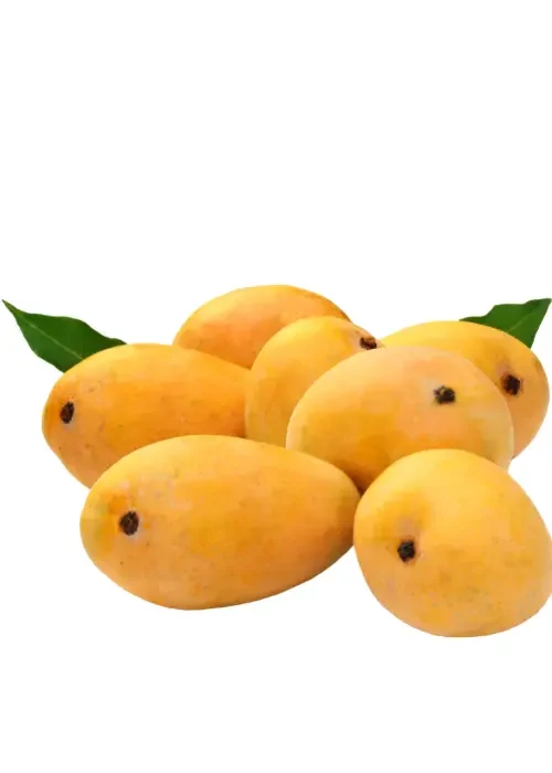 Copy of Untitled (40)