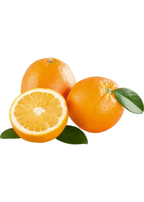 Copy of Untitled (41)