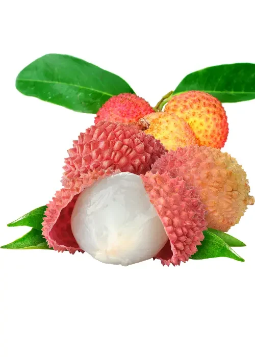 Copy of Untitled (42)