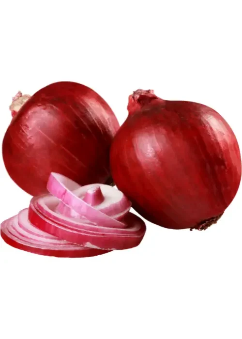 Copy of Untitled (45)