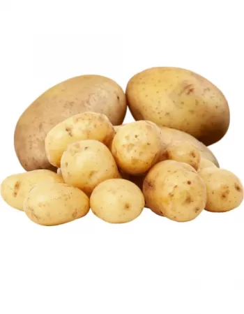 Copy of Untitled (47)