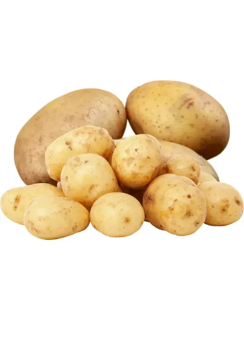 Copy of Untitled (47)