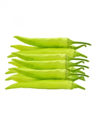 Copy of Untitled (48)