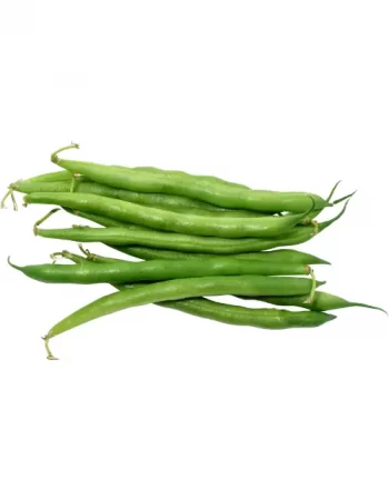 Copy of Untitled (49)