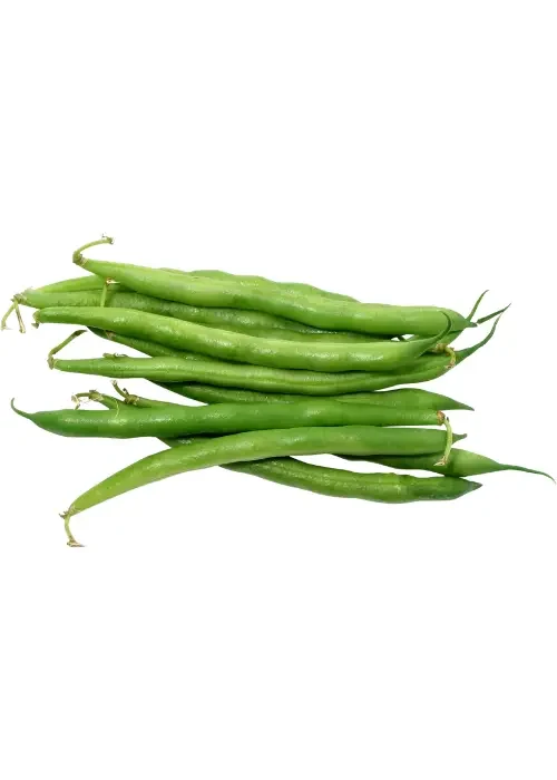 Copy of Untitled (49)