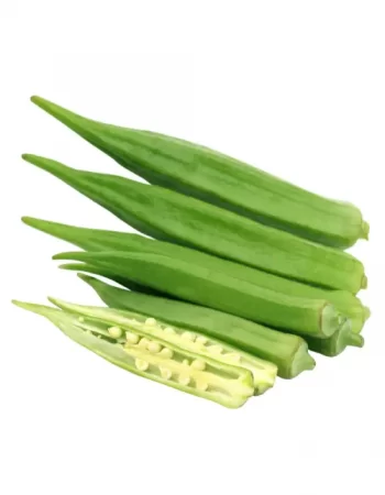 Copy of Untitled (50)