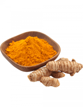 Copy of Untitled (54) (1)