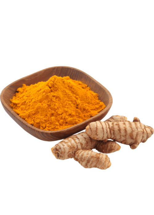 Copy of Untitled (54) (1)