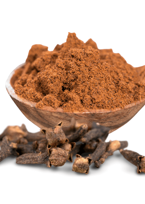 Copy of Untitled (57) (1)