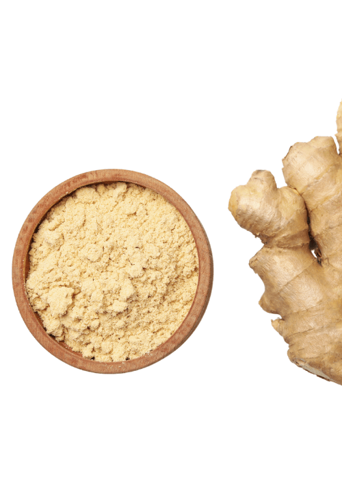 Copy of Untitled (58) (1)