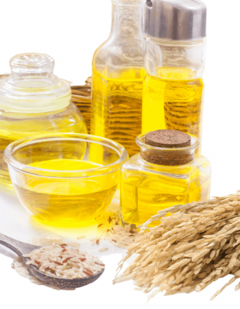 Copy of Untitled (65) (1)